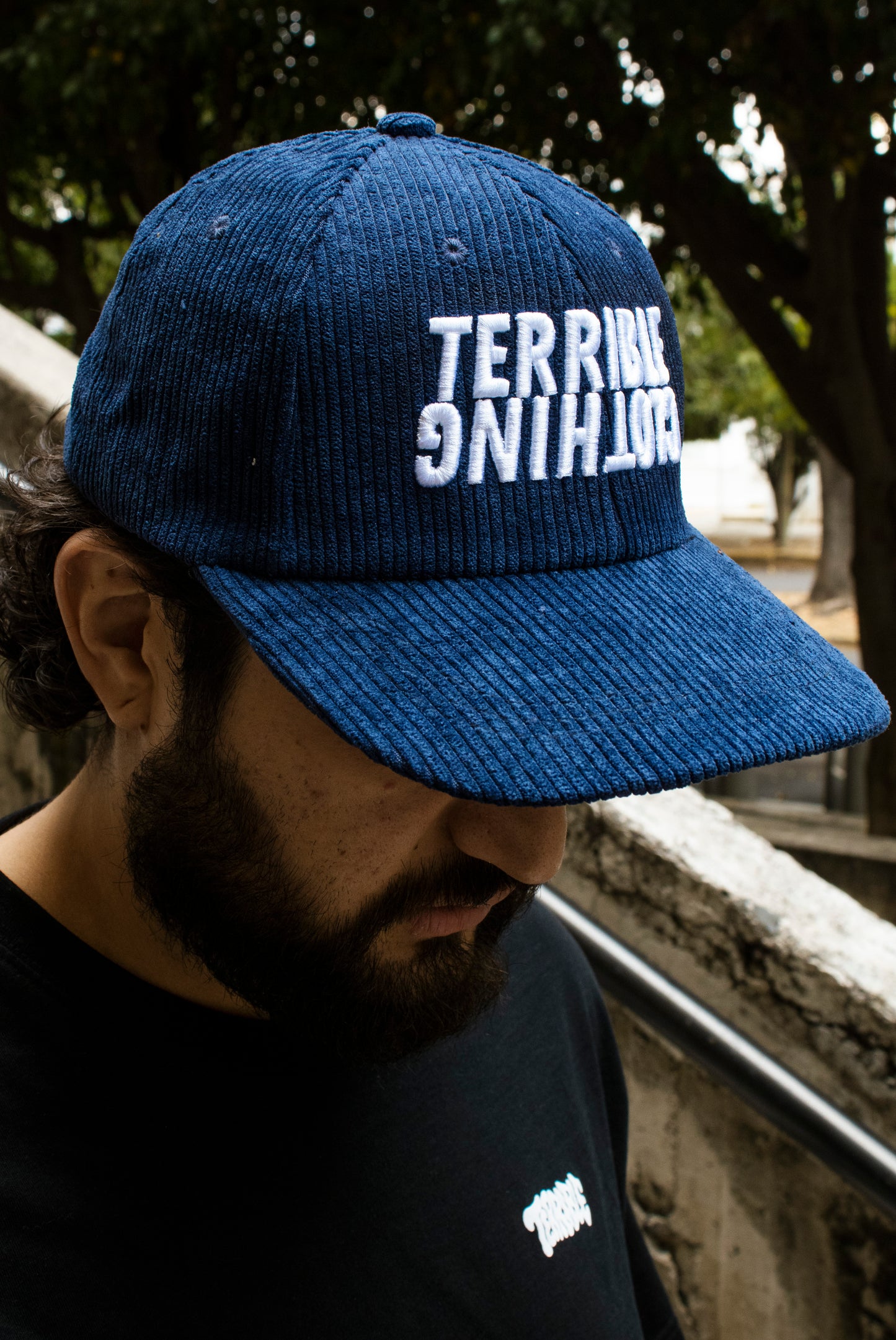 Terrible Reverse Dad Hat