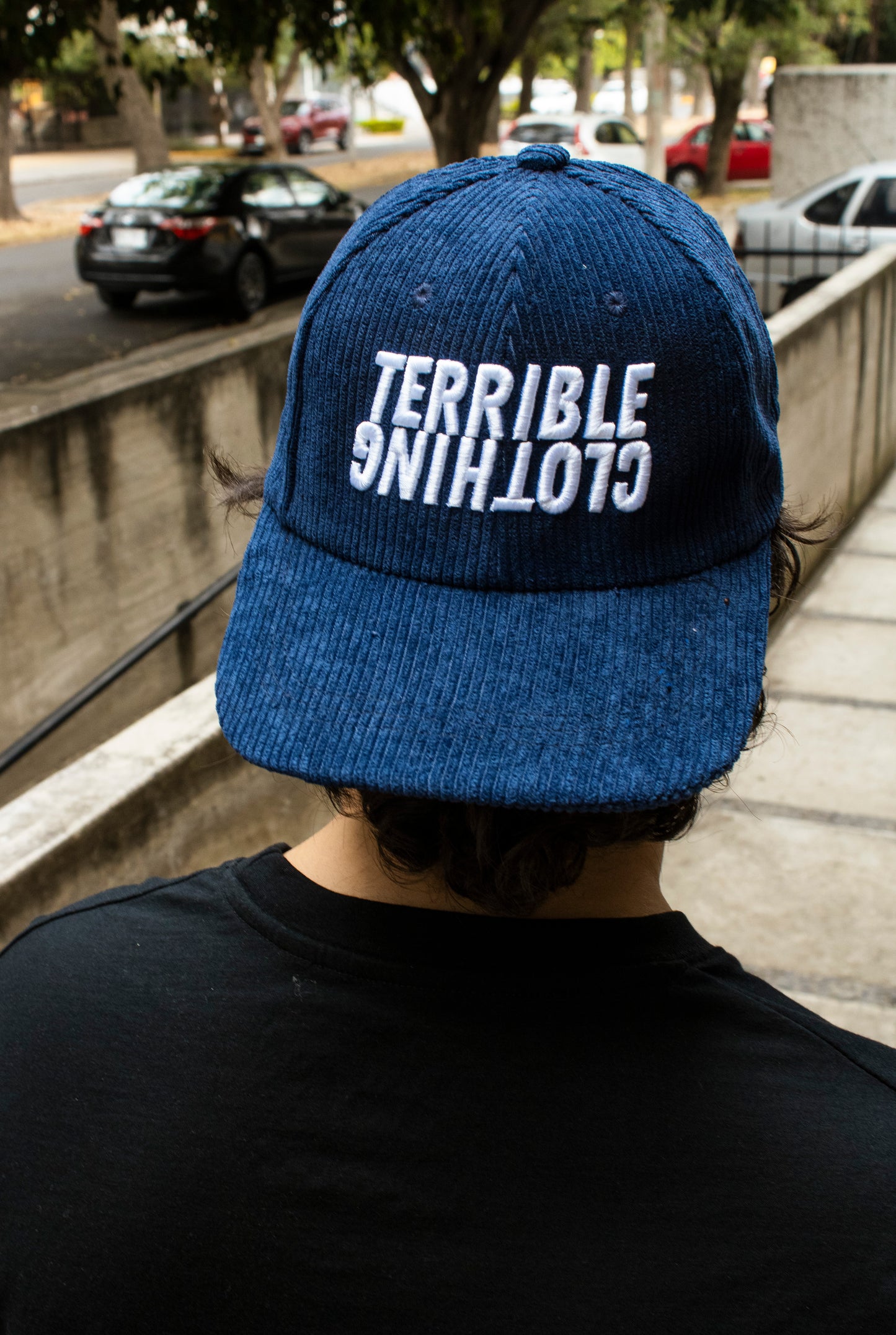 Terrible Reverse Dad Hat